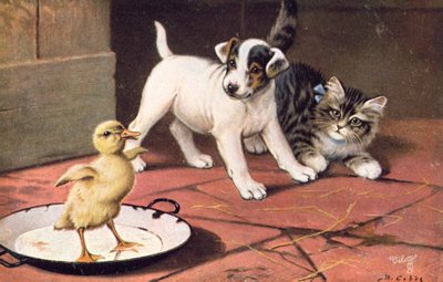 Katzenpostkarte von Bernard Cobbe