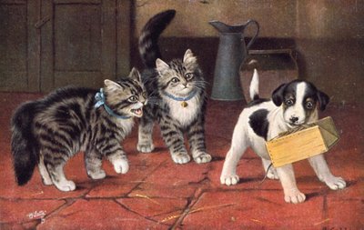 Katzenpostkarte von Bernard Cobbe