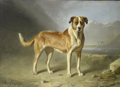 Ein Bernhardiner von Bernard te Gempt