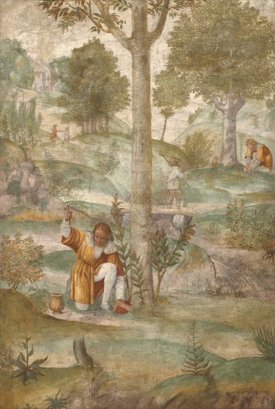 Kephalos versteckt die Juwelen von Bernardino Luini