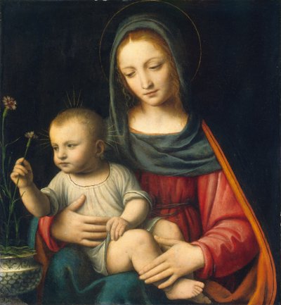 Die Nelkenmadonna von Bernardino Luini