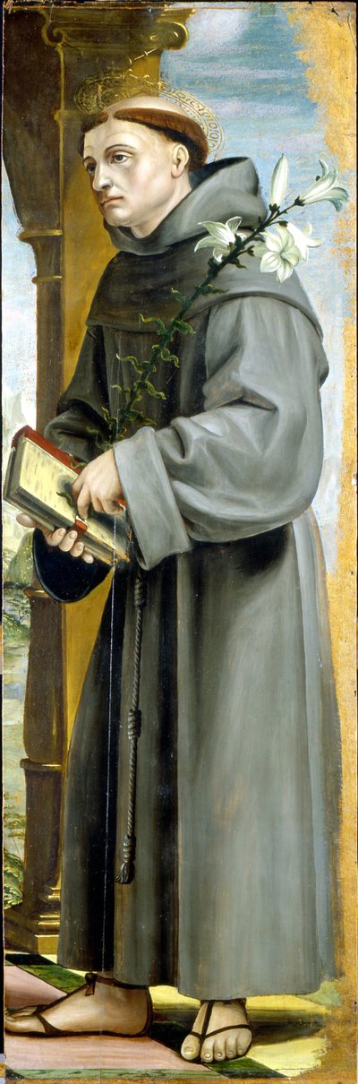 Heiliger Antonius von Padua von Bernadino Zenale