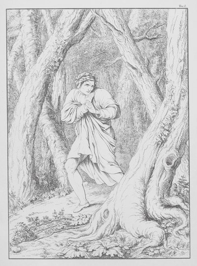 Dantes Göttliche Komödie, Inferno (Hölle), Platte I (Lithografie) von Bernhard Schuler