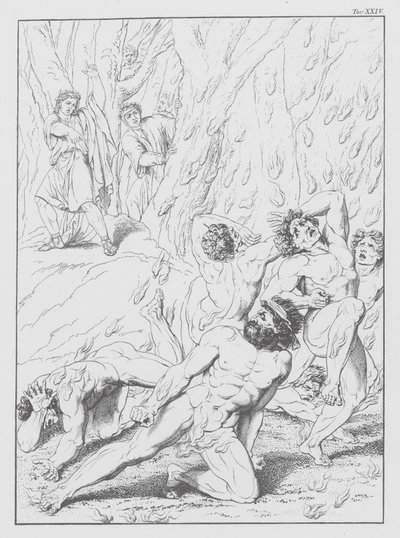 Dantes Göttliche Komödie, Inferno (Hölle), Platte XXIV von Bernhard Schuler