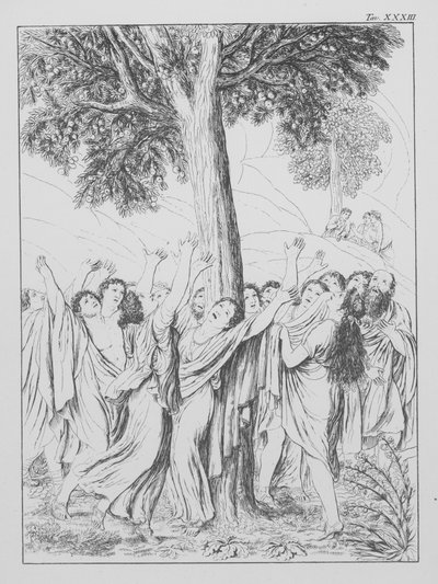 Dantes Göttliche Komödie, Purgatorio (Fegefeuer), Platte XXXIII von Bernhard Schuler