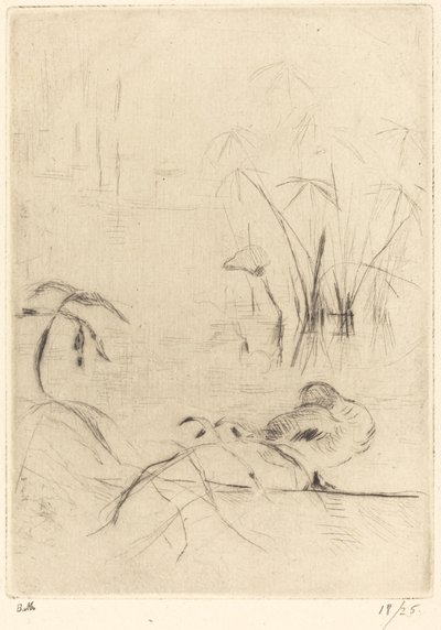 Enten ruhen am Ufer, 1888-1890 von Berthe Morisot