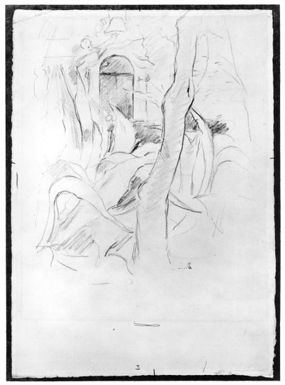 Die Aloen in der Villa Ratti, 1889 von Berthe Morisot