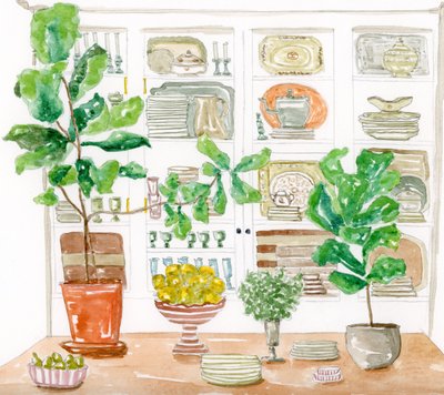 Küchenschrankpflanzen von Breanna Megan Studio