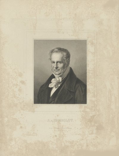 Porträt von Alexander von Humboldt 1769-1859, ca. 1850 von Breitkopf and Härtel