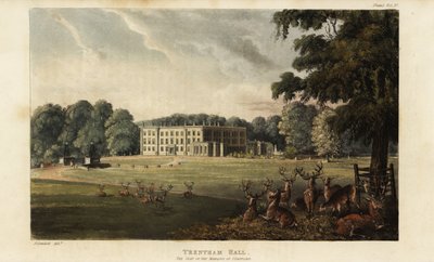 Herde von Hirschen vor Trentham Hall von British School
