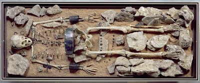 Reich ausgestattetes Frauengrab aus Molzbach bei Hünfeld von Bronze Age