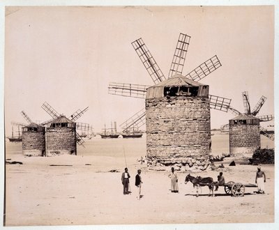 Mühlen in Alexandria - Fotografie der Zangali-Brüder, späte 19. Jahrhundert von Brothers Zangaki