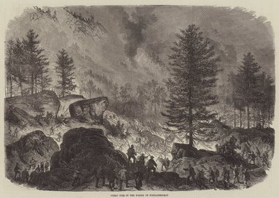 Großes Feuer im Wald von Fontainebleau von Burn Smeeton