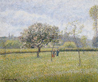 Apfelbaum in Blüte in Eragny, 1888 von Camille Jacob Pissarro