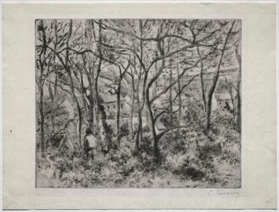 Waldlandschaft bei L
