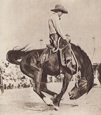 Cowboy reitet auf einem bockenden Bronco von Canadian Photographer