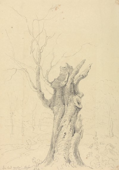 Im Park von Lord Yarborough, Appuldurcombe, Isle of Wight von Capt. Thomas Hastings