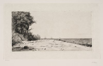 Von der Nordküste Seelands. Hornbækplantage von Carl Bloch
