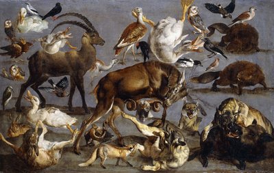 Studien eines Rothirsches, eines Steinbocks, eines Wildschweins, drei Wölfen, zwei Bibern, zwei Hasen, eines Fuchses, vier Hausenten, zwei Großtrappen, drei Schleiereulen, einer Turteltaube, eines Kiebitzes, eines Tannenhähers, eines Seidenschwanzes, einer von Carl Borromaus Andreas Ruthart