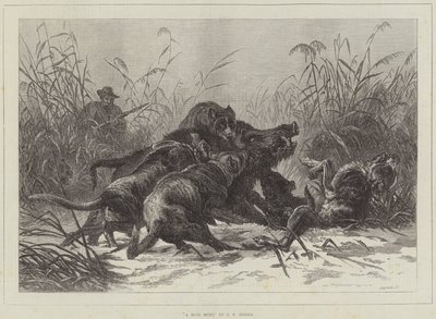 Eine Wildschweinjagd von Carl Friedrich Deiker
