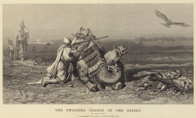 Der herabstürzende Schrecken der Wüste von Carl Haag