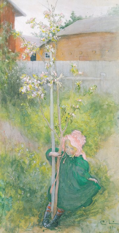 Apfelblüte von Carl Larsson