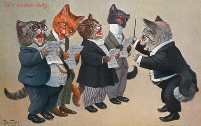 Humorvolle Katzenpostkarte von Carl Robert Arthur Thiele