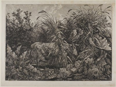 Kuh in einem Bach von Carl Wilhelm Kolbe the elder