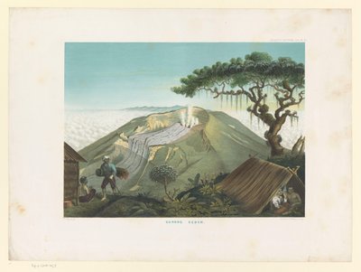 Vulkan Gede in West-Java von Carl Wilhelm Mieling (possibly)