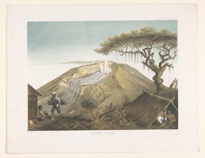 Vulkan Gede in West-Java von Carl Wilhelm Mieling (possibly)