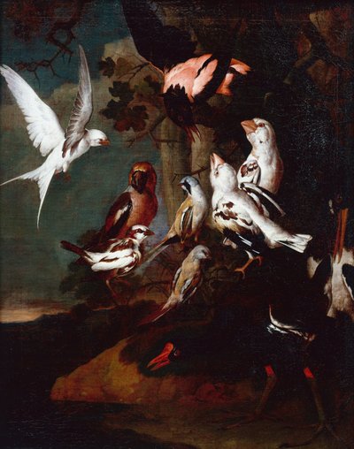 Teichhuhn, Schwalbe, Finken und andere Vögel in einer bewaldeten Flusslandschaft von Carl Wilhelm de Hamilton