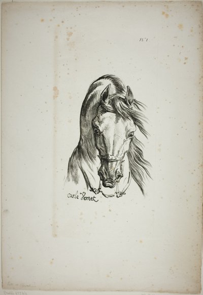 (Detail) Pferdekopf, vergrößert auf dreifache Größe, Normannische Königsgarde, Nr. 1 von Carle Vernet