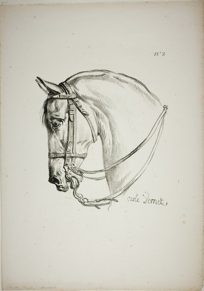 Detail (Pferdekopf, vergrößert auf dreifache Größe, Normannische Königswache, Nr. 2) von Carle Vernet