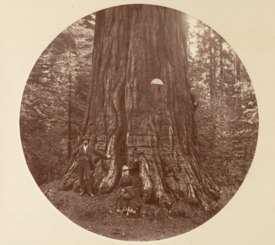 The Empire State - C. Grove von Carleton Emmons Watkins