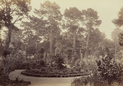  von Carleton Watkins