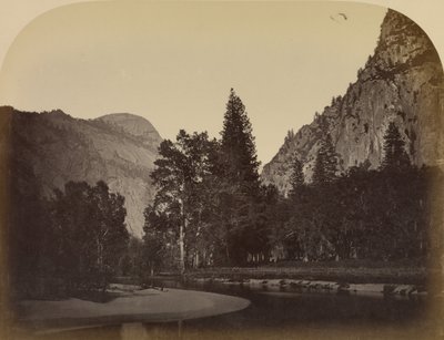 Camp Grove - Yo Semite von Carleton Watkins