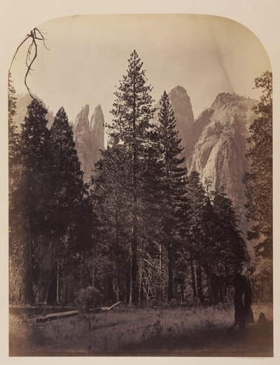  von Carleton Watkins