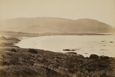  von Carleton Watkins