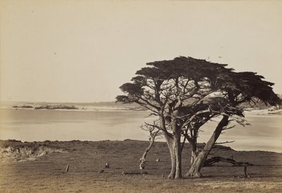 von Carleton Watkins
