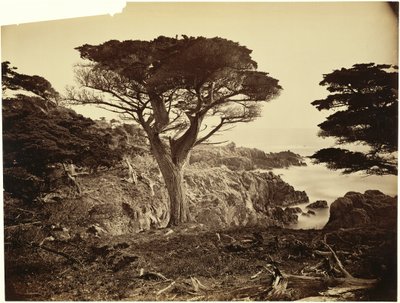  von Carleton Watkins