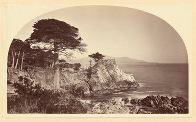  von Carleton Watkins