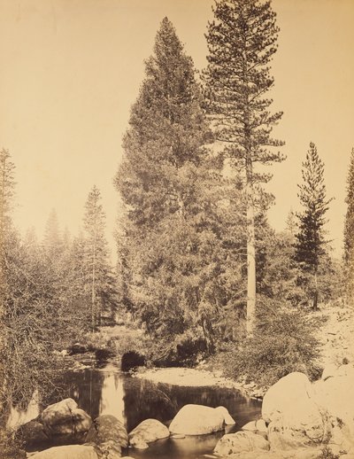  von Carleton Watkins