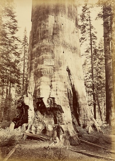  von Carleton Watkins