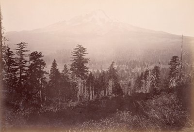  von Carleton Watkins
