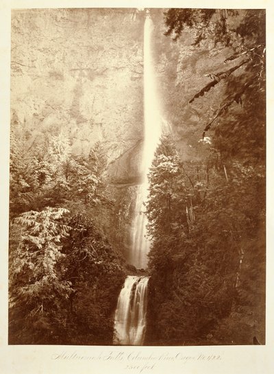  von Carleton Watkins