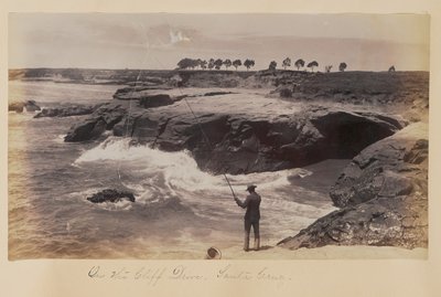  von Carleton Watkins