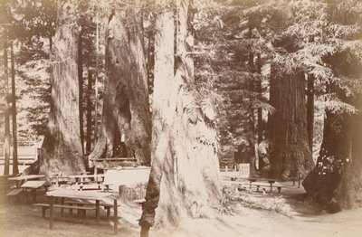  von Carleton Watkins