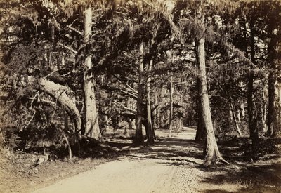  von Carleton Watkins