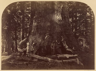  von Carleton Watkins