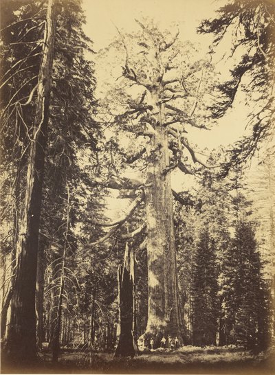  von Carleton Watkins
